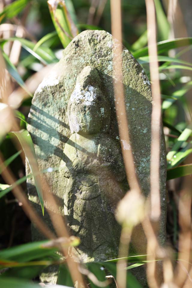 fotografia, material, livra, ajardine, imagine, proveja fotografia,Templo de Hase-dera Ishibotoke, apedreje esttua, Grass, Budismo, Chaitya