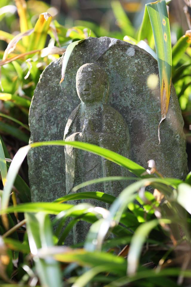 photo,material,free,landscape,picture,stock photo,Creative Commons,Hase-dera Temple Ishibotoke, stone statue, Grass, Buddhism, Chaitya