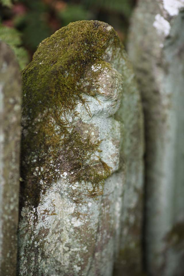 Foto, materieel, vrij, landschap, schilderstuk, bevoorraden foto,Hase-dera Temple Ishibotoke, Stenig standbeeld, Mos, Boeddhisme, Chaitya