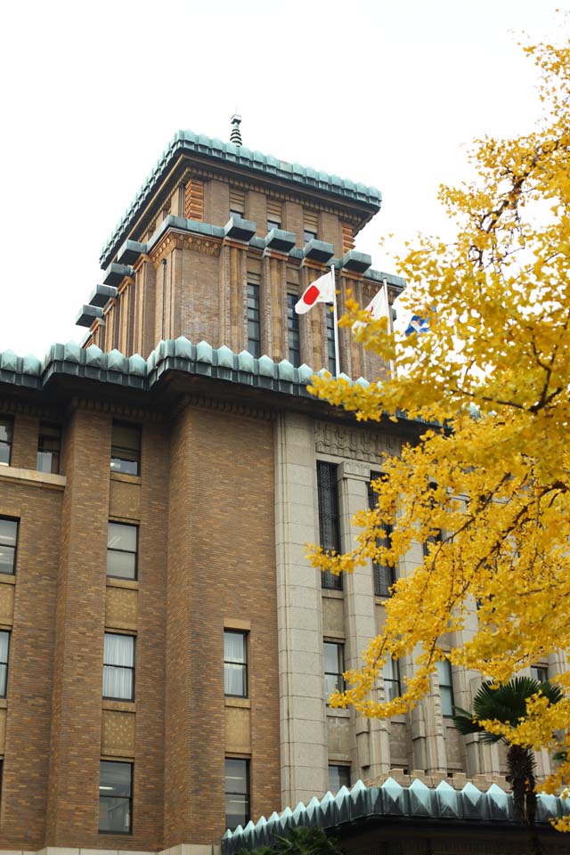 fotografia, materiale, libero il panorama, dipinga, fotografia di scorta,L'ufficio di prefectural di Kanagawa, ginkgo, Foglie colorate, bandiera nazionale, mattone