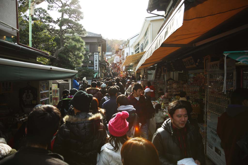 photo, la matire, libre, amnage, dcrivez, photo de la rserve,Enoshima approchent  un temple, magasin du souvenir, La visite de nouvelle anne  un temple shintoste, Produits marins, poisson sch