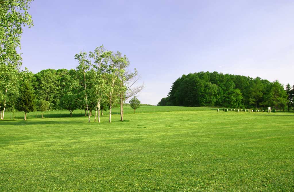 Foto, materiell, befreit, Landschaft, Bild, hat Foto auf Lager,Torfartiges Quadrat, Hitsujigaoka, Baum, Birke, blauer Himmel