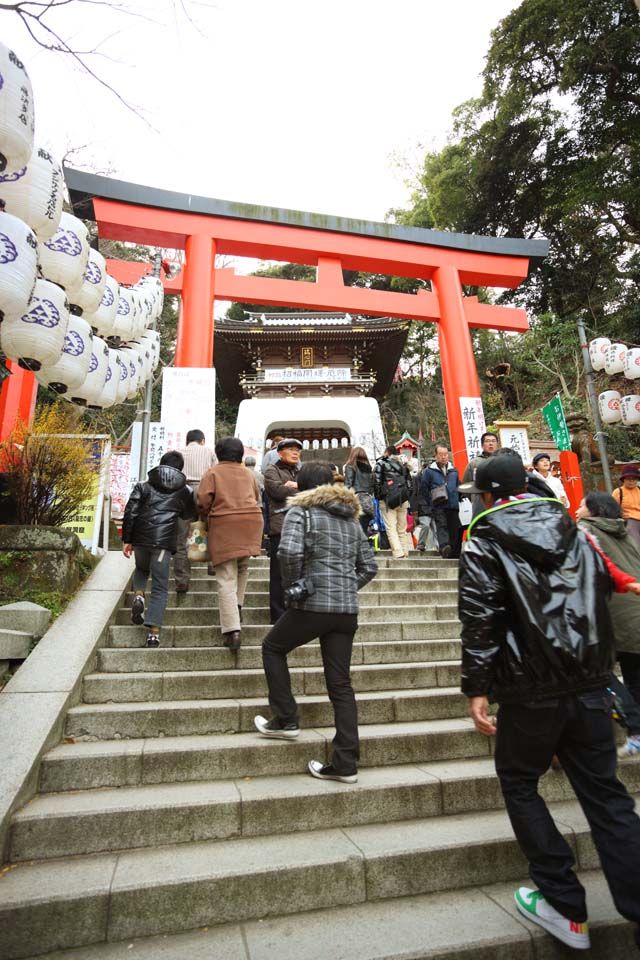 Foto, materiell, befreit, Landschaft, Bild, hat Foto auf Lager,Eshima Shrine Seiten Tsunomiya torii, torii, Schintoistischer Schrein, , Ozunu Enno