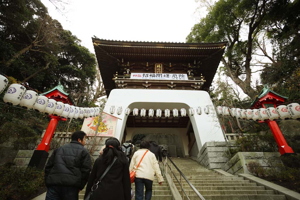 Foto, materiell, befreit, Landschaft, Bild, hat Foto auf Lager,Eshima Shrine Seiten-Tsunomiya, lassen Sie Schrein herunter, Schintoistischer Schrein, , Ozunu Enno