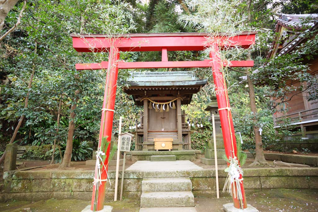 Foto, materieel, vrij, landschap, schilderstuk, bevoorraden foto,Eshima Heiligdom kant Tsunomiya Inari bedrijf, Lager heiligdom, Shinto heiligdom, Inari bedrijf, Akiba Corporatie