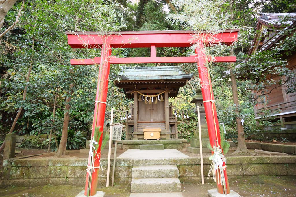 photo, la matire, libre, amnage, dcrivez, photo de la rserve,Temple Eshima compagnie de Tsunomiya Inari latrale, temple infrieur, Temple shintoste, Compagnie Inari, Corporation Akiba