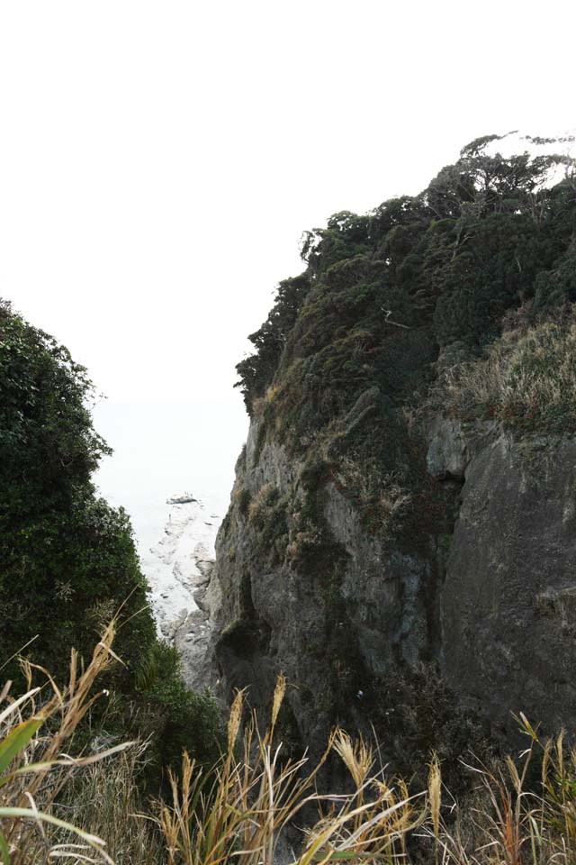 fotografia, material, livra, ajardine, imagine, proveja fotografia,Cliff de Enoshima, pedra, O mar, onda, precipcio