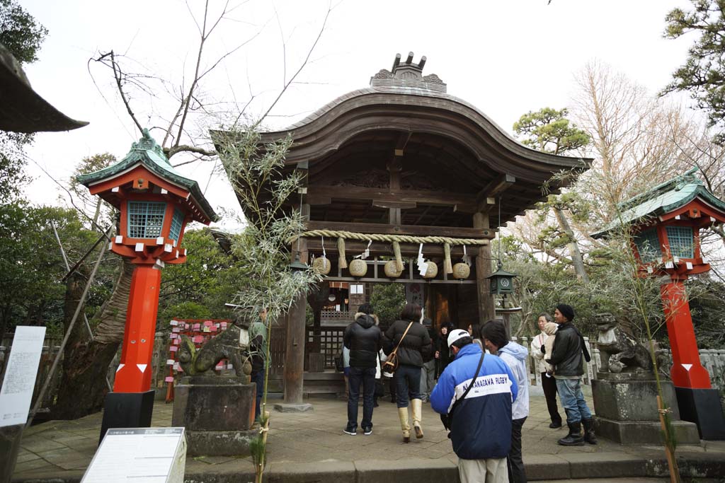 Foto, materiell, befreit, Landschaft, Bild, hat Foto auf Lager,Eshima Shrine Okutsu-Schrein, Laterne, Schintoistische Strohgirlande, tapezieren Sie Anhang, Schintoismus