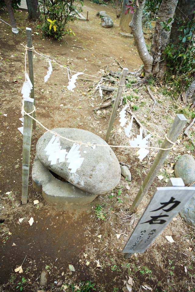 Foto, materiell, befreit, Landschaft, Bild, hat Foto auf Lager,Eshima Shrine Okutsu-Schrein, Verhtung von Bsem, Geldgabe, starke Person, Konkurrenz aus Strke