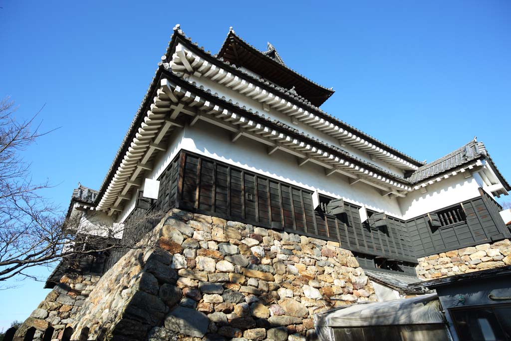 photo,material,free,landscape,picture,stock photo,Creative Commons,The Inuyama-jo Castle castle tower, white Imperial castle, Etsu Kanayama, castle, 