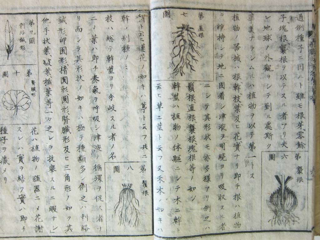 photo, la matire, libre, amnage, dcrivez, photo de la rserve,Manuel de Meiji-mura Village Muse, tude, manuel, Science, Hritage culturel