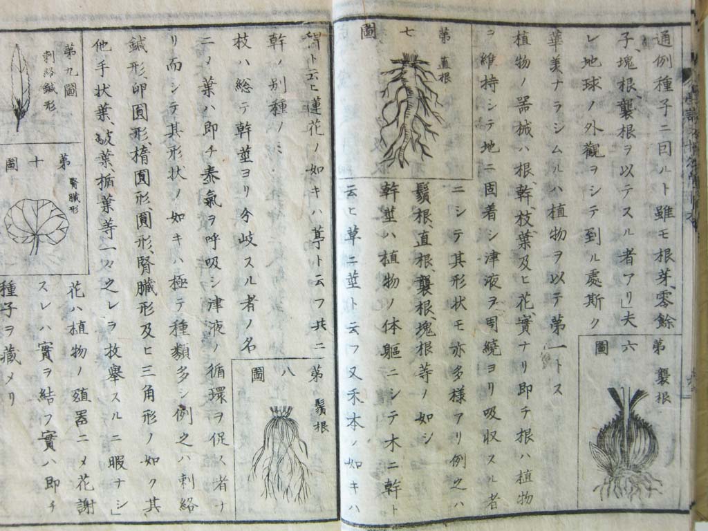 Foto, materiell, befreit, Landschaft, Bild, hat Foto auf Lager,Meiji-mura Village Museum Lehrbuch, Studium, Lehrbuch, Wissenschaft, Kulturelles Erbe