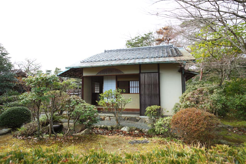 fotografia, material, livra, ajardine, imagine, proveja fotografia,Meiji-mura Aldeia Museu ch-cerimnia quarto, construindo do Meiji, Cerimnia de ch, Edifcio de Japons-estilo, Herana cultural