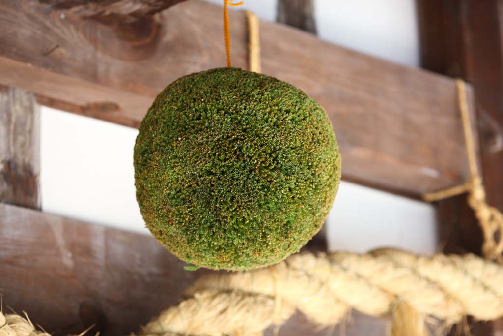 Foto, materiell, befreit, Landschaft, Bild, hat Foto auf Lager,Der Weltweinkeller des Meiji-mura Village Museum Chrysantheme, Sakebrauen, bewirten Sie Keller mit Wein, Zedernmnze, Sake