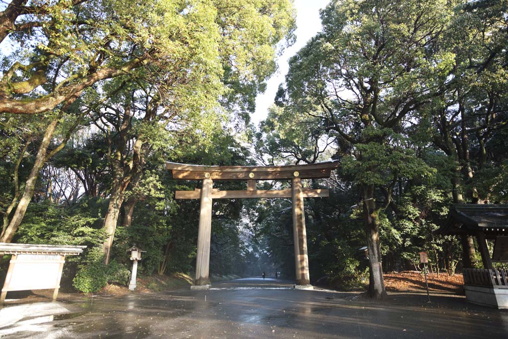 fotografia, material, livra, ajardine, imagine, proveja fotografia,Meiji Santurio torii, O imperador, Santurio de Xintosmo, torii, Uma aproximao para um santurio