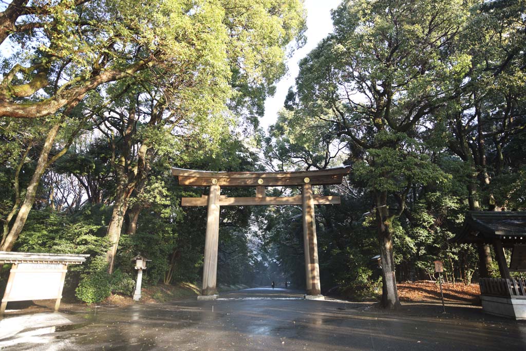 Foto, materiell, befreit, Landschaft, Bild, hat Foto auf Lager,Meiji Shrine torii, Der Kaiser, Schintoistischer Schrein, torii, Ein Ansatz zu einem Schrein