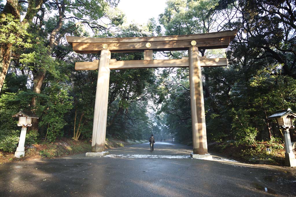 photo,material,free,landscape,picture,stock photo,Creative Commons,Meiji Shrine torii, The Emperor, Shinto shrine, torii, An approach to a shrine