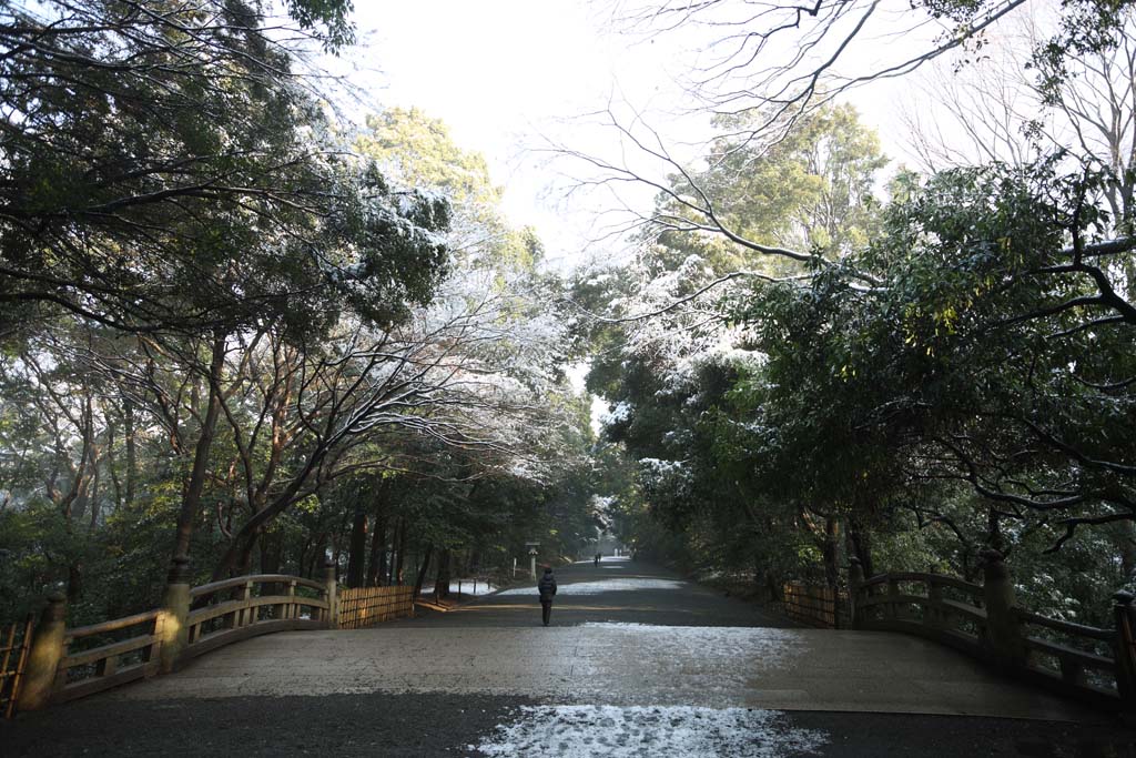 fotografia, material, livra, ajardine, imagine, proveja fotografia,Meiji Santurio aproximao para um santurio, O imperador, Santurio de Xintosmo, Neve, Uma aproximao para um santurio