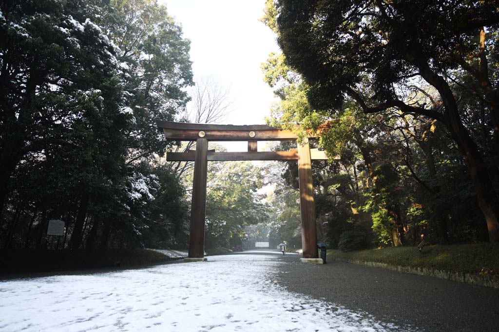 Foto, materiell, befreit, Landschaft, Bild, hat Foto auf Lager,Meiji Shrine torii, Der Kaiser, Schintoistischer Schrein, torii, Ein Ansatz zu einem Schrein