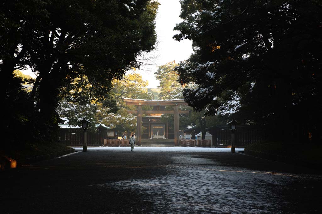 foto,tela,gratis,paisaje,fotografa,idea,Meiji torii del santuario, El Emperador, Santuario sintosta, Torii, Un enfoque para un santuario