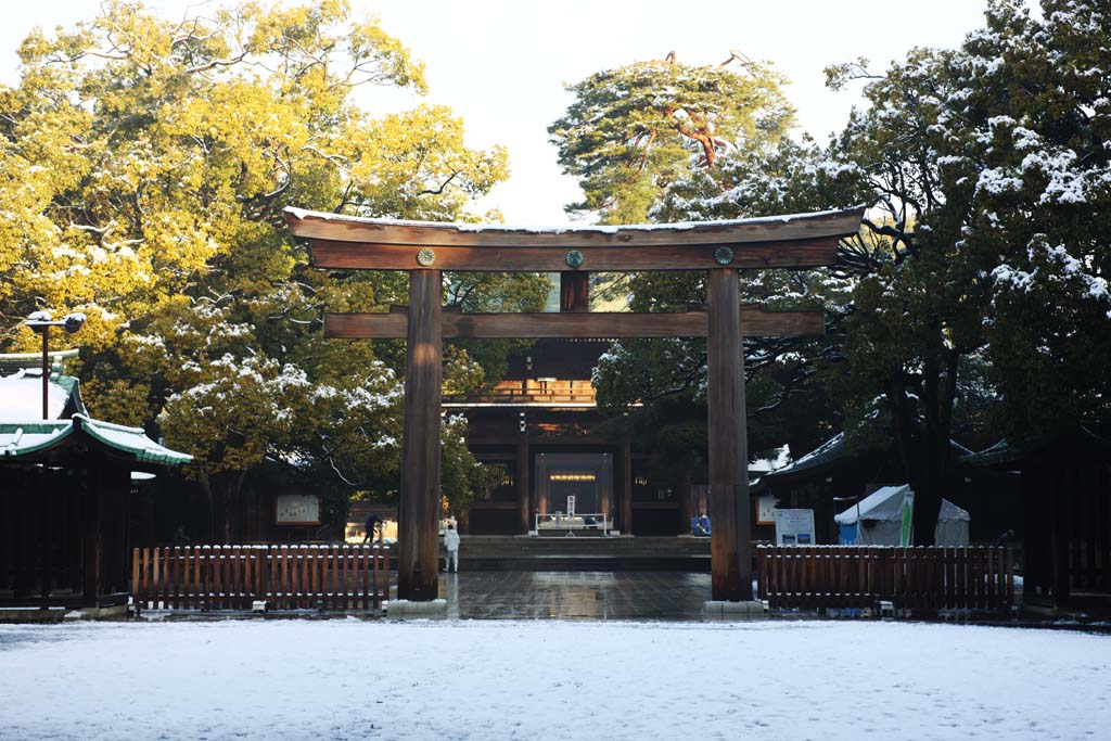 ,,, ,,,torii  Meiji., .,  ., torii., .