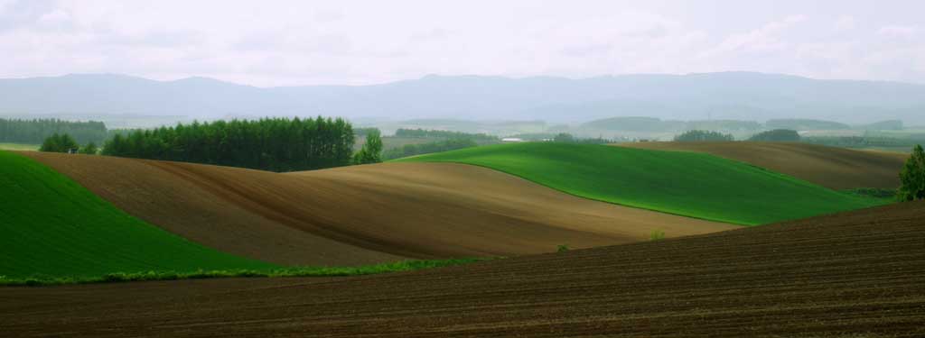 photo,material,free,landscape,picture,stock photo,Creative Commons,Rolling farmland, field, hill, , 