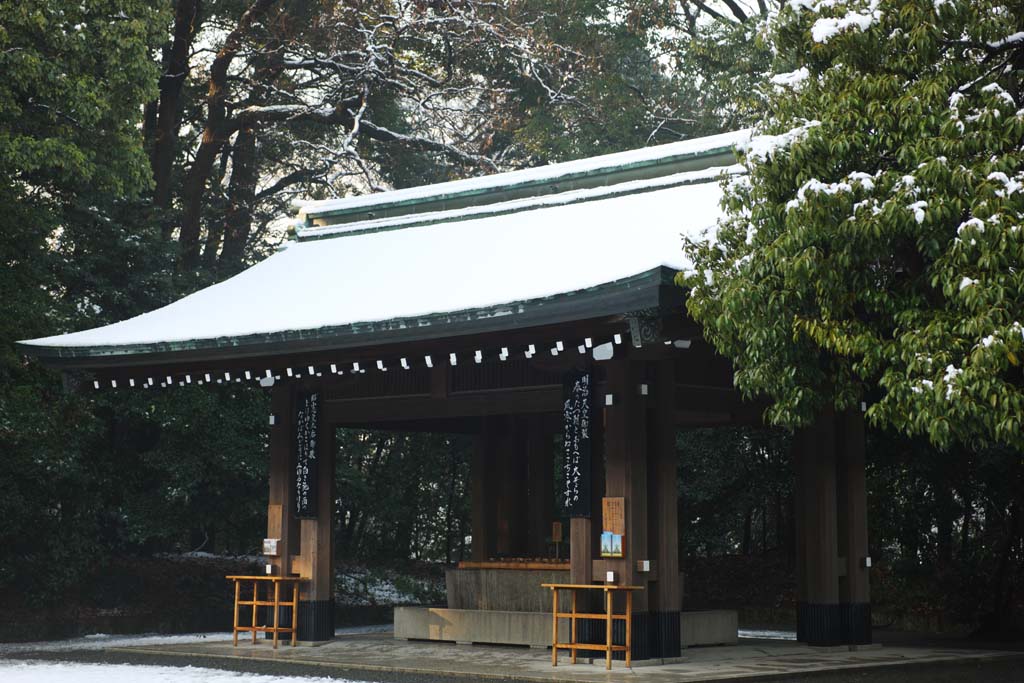 fotografia, materiale, libero il panorama, dipinga, fotografia di scorta,Le installazioni di Sacrario di Meiji, L'imperatore, Sacrario scintoista, torii, Neve