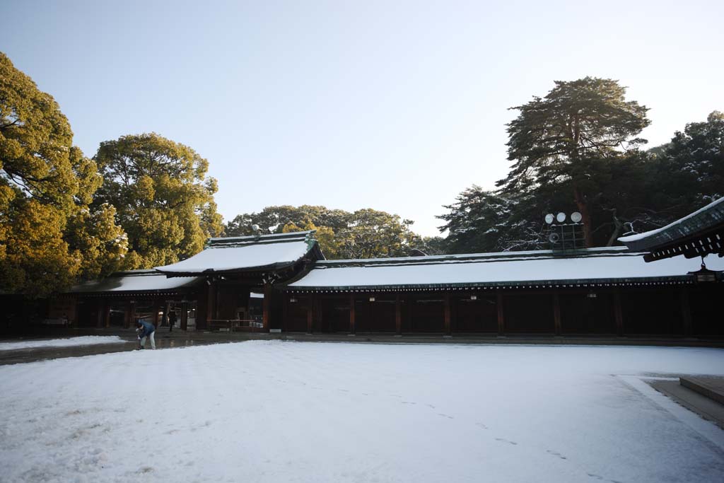 Foto, materiell, befreit, Landschaft, Bild, hat Foto auf Lager,Meiji-Schrein, Der Kaiser, Schintoistischer Schrein, torii, Schnee