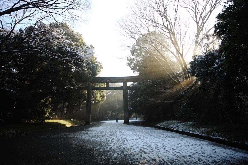 photo, la matire, libre, amnage, dcrivez, photo de la rserve,La lumire de l'oracle, Sei Dieu, ligne lgre, torii, Luminosit