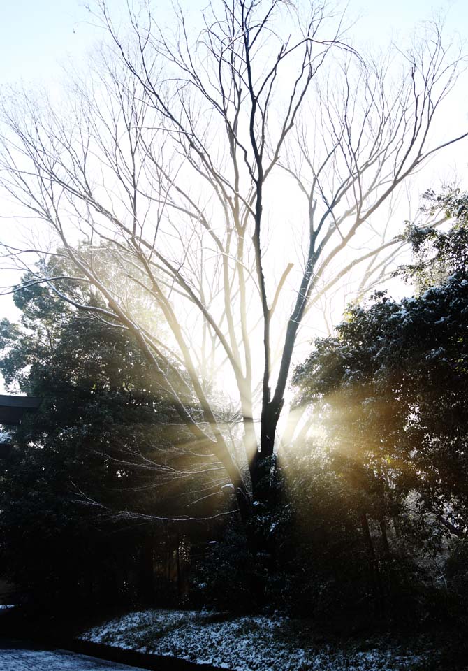 Foto, materiell, befreit, Landschaft, Bild, hat Foto auf Lager,Das Licht des Orakels, Sei God, leichte Linie, Heiliges Licht, Helligkeit