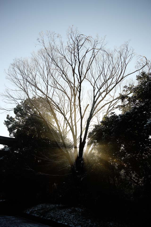 Foto, materieel, vrij, landschap, schilderstuk, bevoorraden foto,De verlichting van de orakel, Sei Godheid, Maak lijn aan, Heilig helder, Helderheid