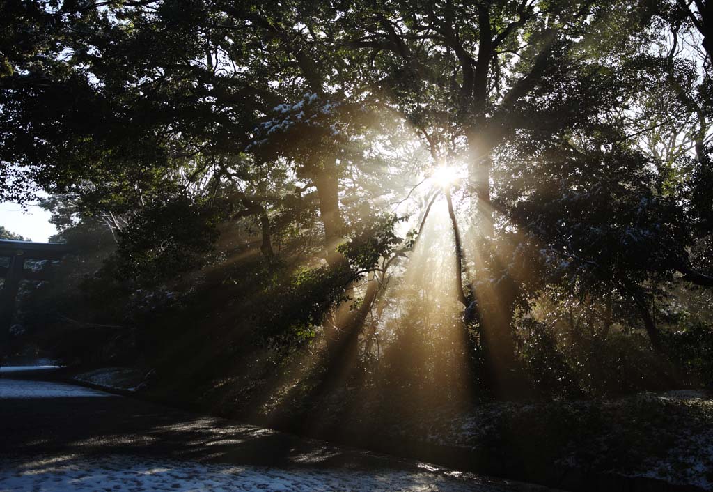 photo,material,free,landscape,picture,stock photo,Creative Commons,The light of the oracle, Sei God, light line, Sacred light, Brightness