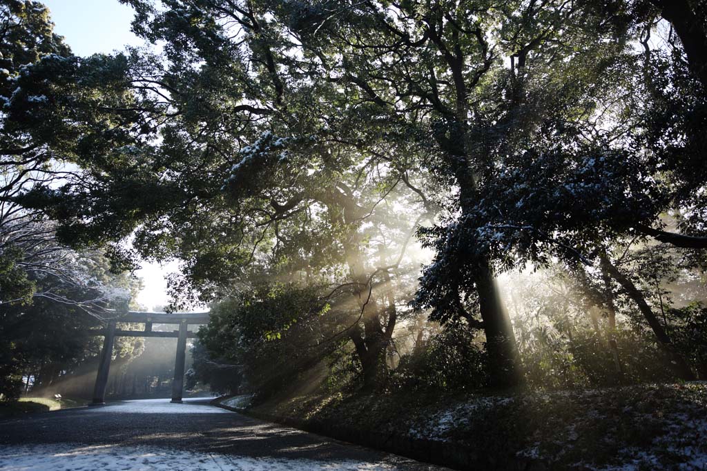 Foto, materieel, vrij, landschap, schilderstuk, bevoorraden foto,De verlichting van de orakel, Sei Godheid, Maak lijn aan, Heilig helder, Helderheid