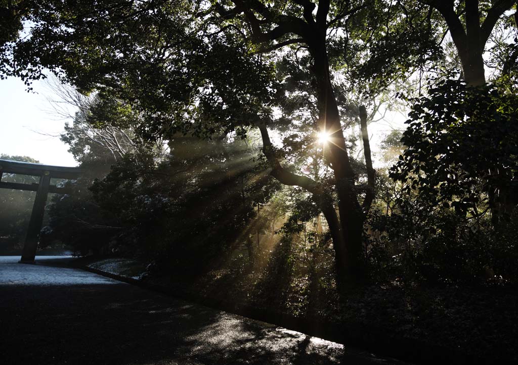 fotografia, materiale, libero il panorama, dipinga, fotografia di scorta,La luce dell'oracolo, Sei Dio, linea leggera, Luce sacra, Luminosit