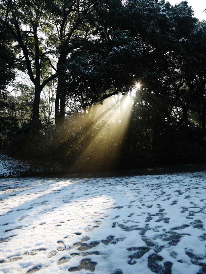 Foto, materiell, befreit, Landschaft, Bild, hat Foto auf Lager,Das Licht des Orakels, Sei God, leichte Linie, Heiliges Licht, Helligkeit