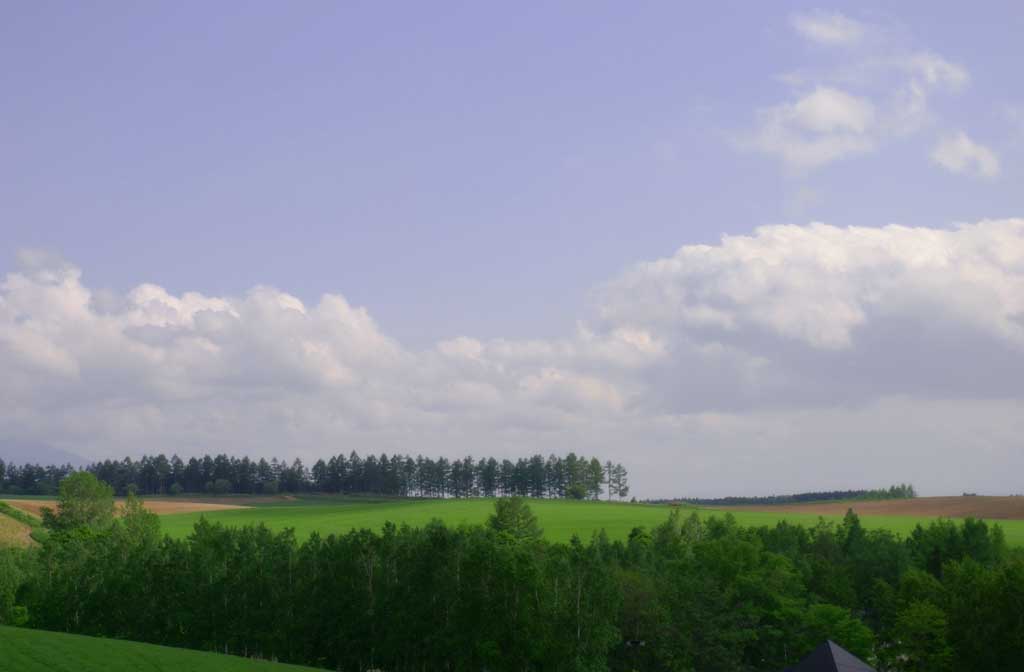 Foto, materiell, befreit, Landschaft, Bild, hat Foto auf Lager,Hokkaido der Phantasie, Hain, Wolke, blauer Himmel, 