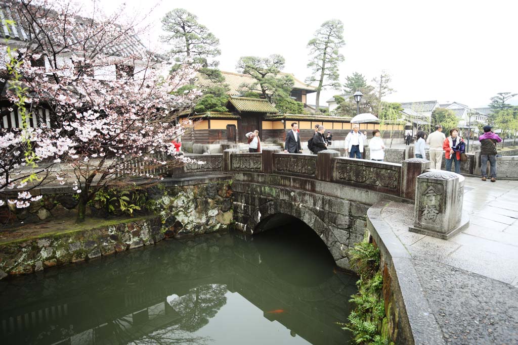 photo, la matire, libre, amnage, dcrivez, photo de la rserve,Kurashiki Imahashi, Culture traditionnelle, pont de pierre, arbre de la cerise, L'histoire