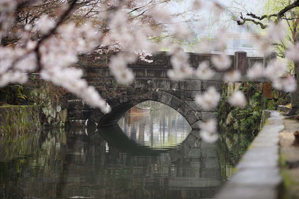 Foto, materiell, befreit, Landschaft, Bild, hat Foto auf Lager,Kurashiki Imahashi, Traditionelle Kultur, steinigen Sie Brcke, Kirschenbaum, Die Geschichte