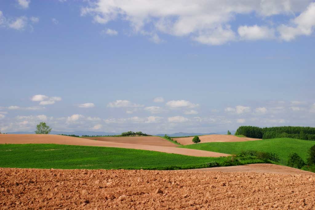 Foto, materiell, befreit, Landschaft, Bild, hat Foto auf Lager,Ackerland und Wolke, Erde, Wolke, blauer Himmel, Feld