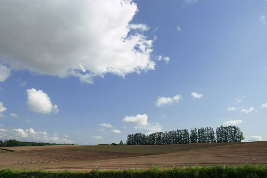 Foto, materieel, vrij, landschap, schilderstuk, bevoorraden foto,Boom lijn, bouwland, en bewolken, Gaarde, Wolk, Blauwe lucht, Veld