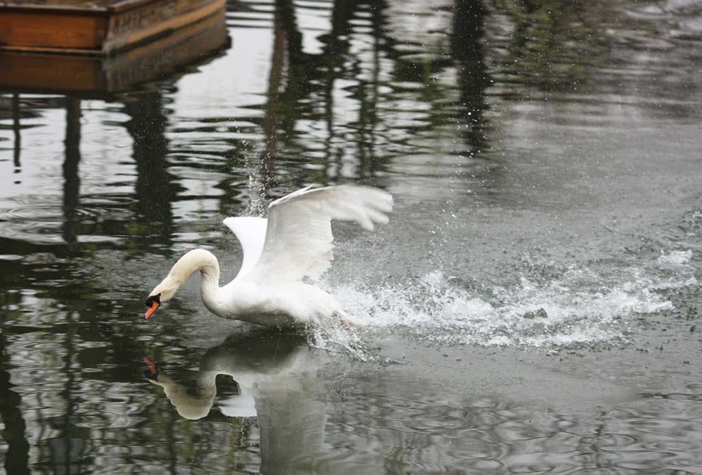 Foto, materiell, befreit, Landschaft, Bild, hat Foto auf Lager,Kurashiki Kurashiki-Fluss, Traditionelle Kultur, Traditionsarchitektur, Japanische Kultur, Die Geschichte