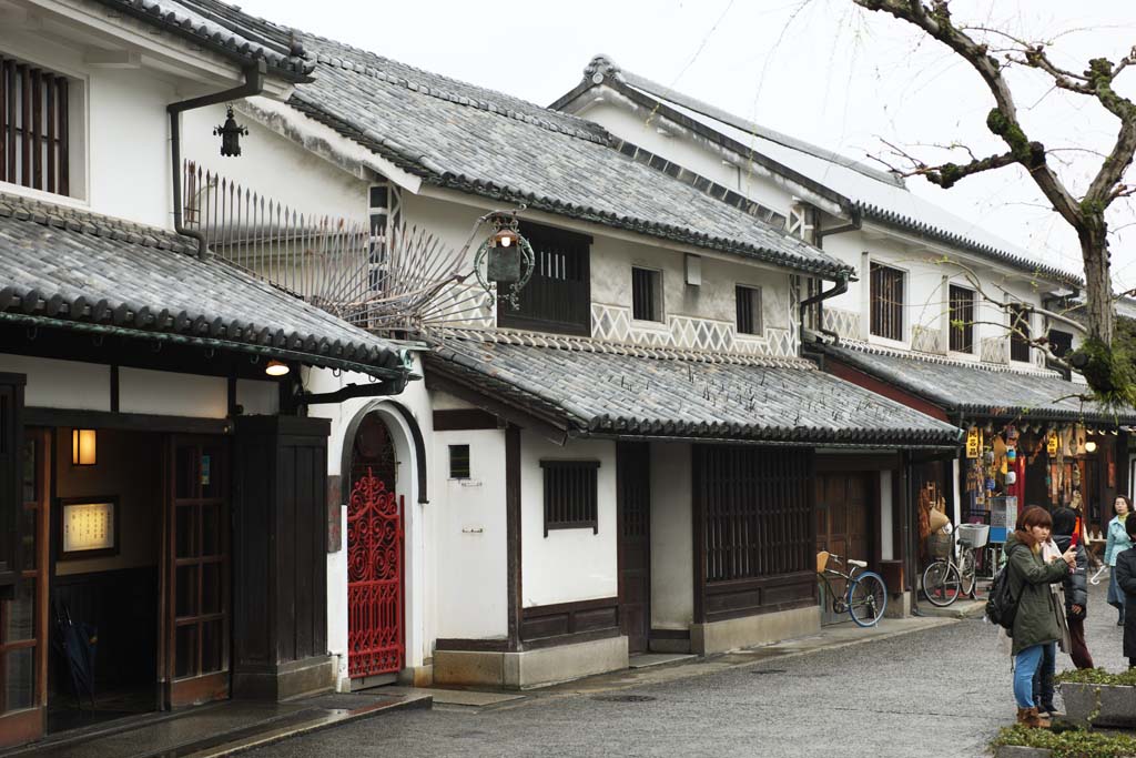 photo, la matire, libre, amnage, dcrivez, photo de la rserve,Kurashiki se pavanent, papillon vomir, cygne, La surface de l'eau, battement