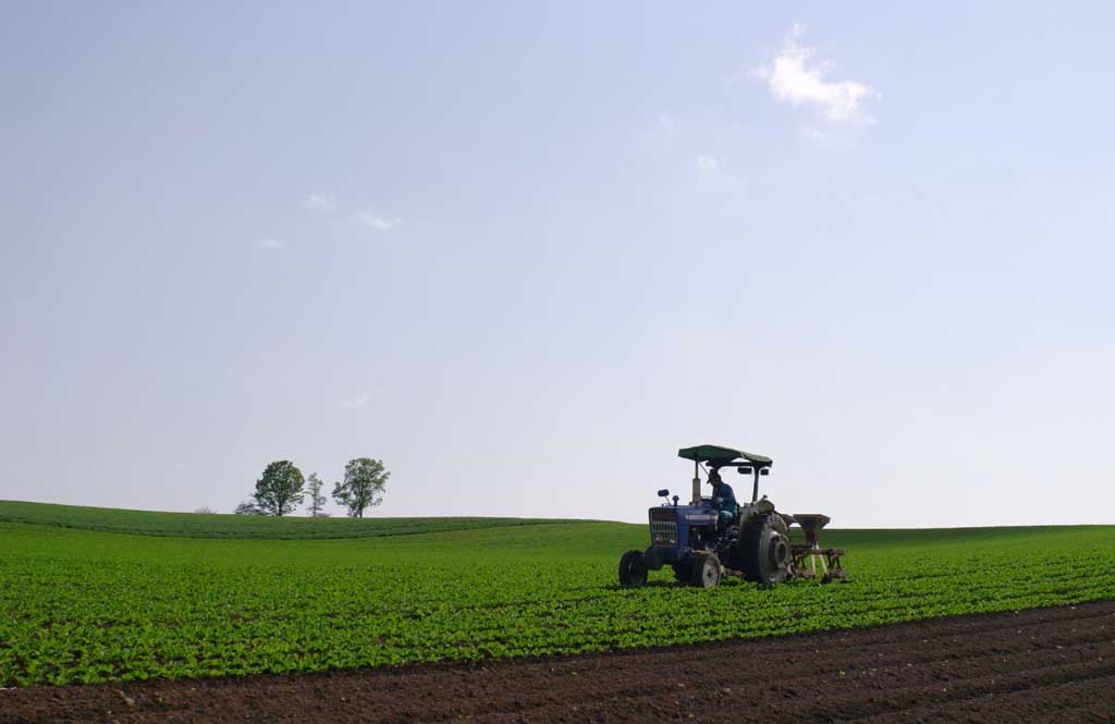 fotografia, materiale, libero il panorama, dipinga, fotografia di scorta,Trattore che lavora, apparato agricolo, albero di genitore-bambino, cielo blu, trattore