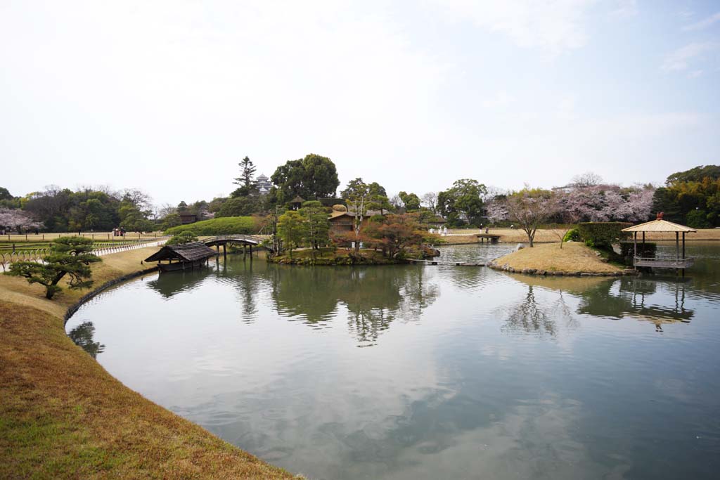 fotografia, materiale, libero il panorama, dipinga, fotografia di scorta,Lo stagno della palude di Giardino di Koraku-en, cabina che rimane, castello, albero ciliegio, I giapponesi fanno del giardinaggio