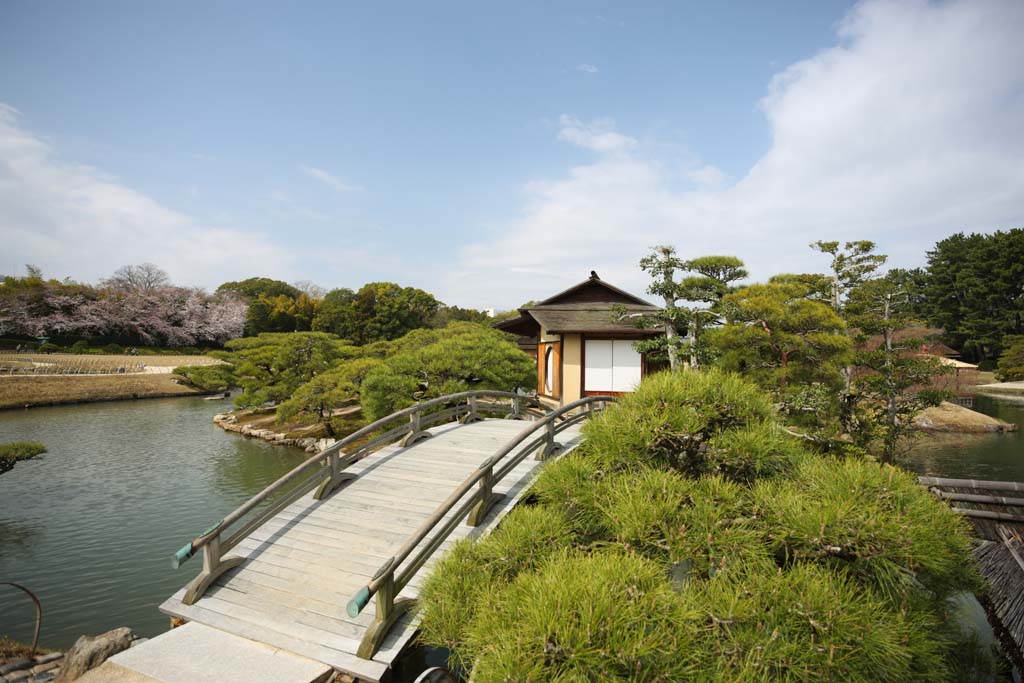 photo,material,free,landscape,picture,stock photo,Creative Commons,Korakuen Island resting booth, resting booth, bridge, tea-ceremony room, Japanese garden