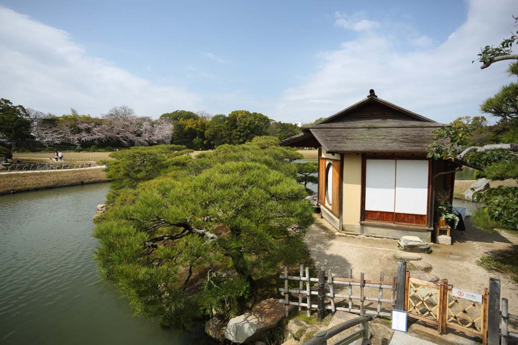 photo, la matire, libre, amnage, dcrivez, photo de la rserve,le Korakuen qui pose la baraque, reposant baraque, pont, pice de la th-crmonie, Japonais jardine