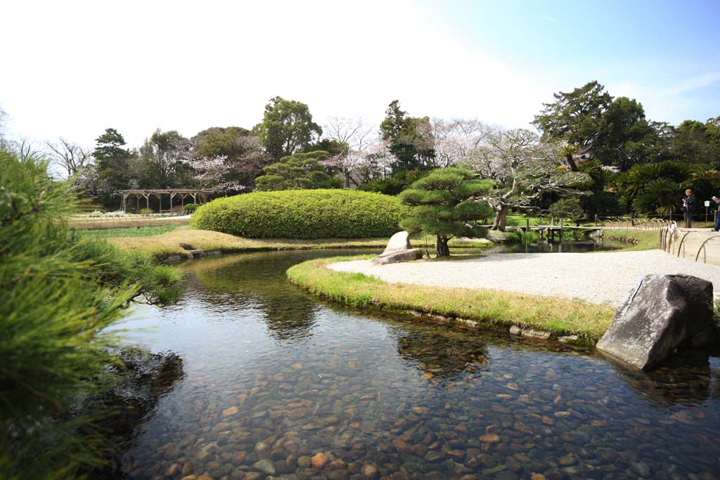 Foto, materiell, befreit, Landschaft, Bild, hat Foto auf Lager,Koraku-en Garden-Bach, Wasserstrae, Kiefer, Kirschenbaum, Japanisch grtnert