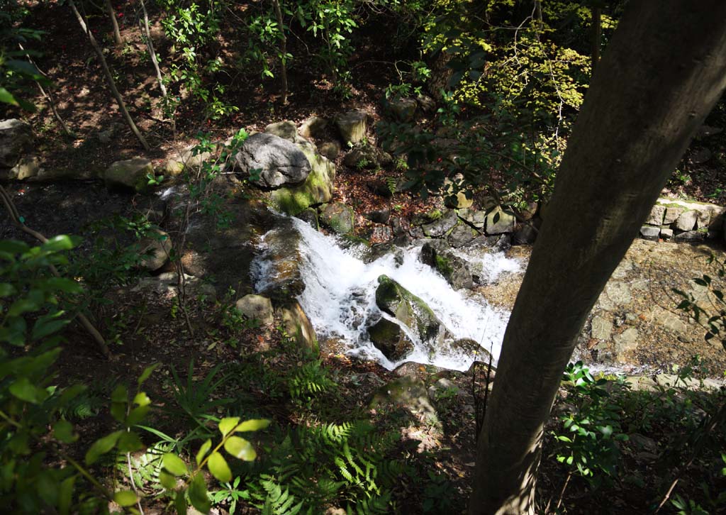 Foto, materieel, vrij, landschap, schilderstuk, bevoorraden foto,Koraku-en beek Tuinieren, Waterval, Het gemompel, Woud, Rivier