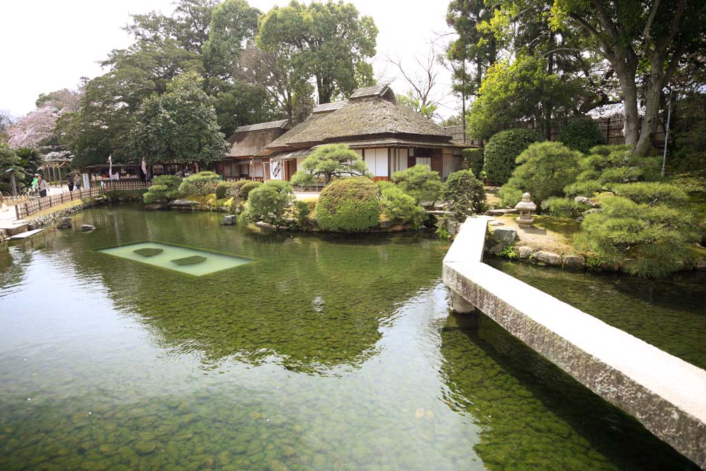 fotografia, materiale, libero il panorama, dipinga, fotografia di scorta,Koraku-en fa del giardinaggio Renchiken, shoji, Edificio di Giapponese-stile, tetto paglia-di paglia, carpa