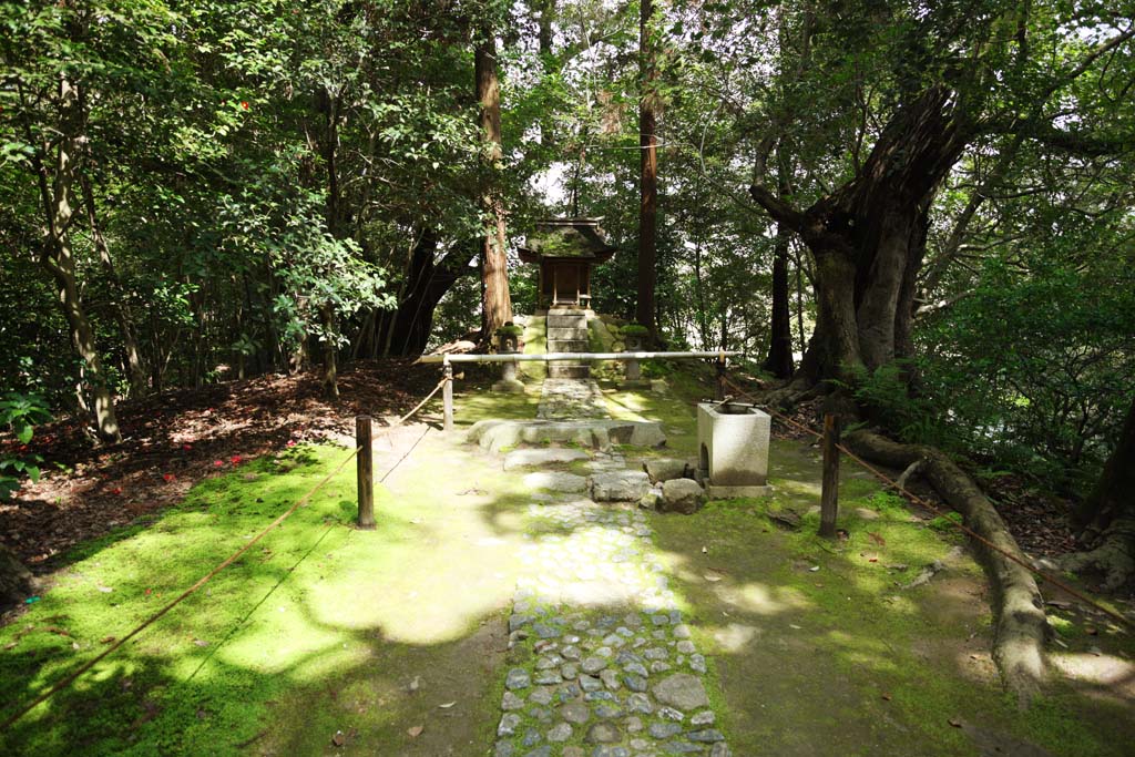 fotografia, materiale, libero il panorama, dipinga, fotografia di scorta,Koraku-en Garden il sacrario di Jizo, La divinit custode di bambini, Sei divinit locali, lavabo, prenda a sassate pavimentazione